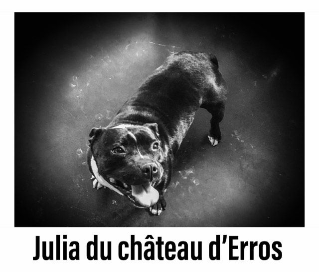 Julia du Château d'Erros